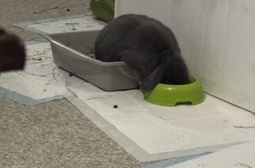 I don’t understand the science