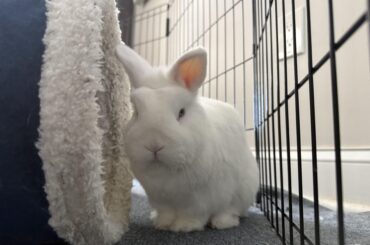 Cranky Boi is Cranky