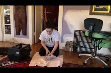 PSA: Learn the Heimlich, you never know.