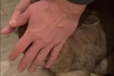 That felt soooo good