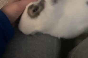 Miss bug only knows how to be a sweet baby