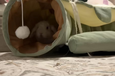 Best way to destress the day