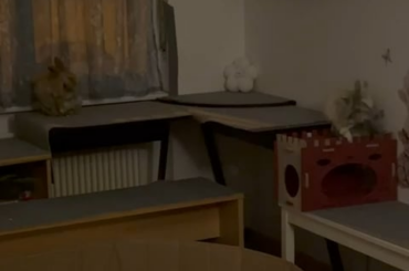 “Are they NPCs or why do they act exactly the same?” 😭