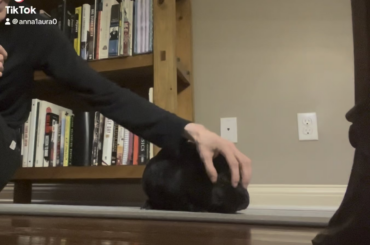 Spooky has the “inconspicuous more head rubs request” down pat! 😝