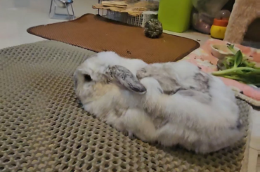 Intrusive thoughts winning day 2~