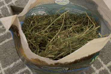 Why Is this Oxbow Hay So Fused Together?