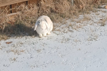 Exploring the ice together