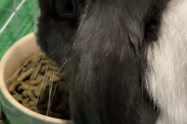 Realised I was recording