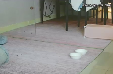 Can’t stop, Won’t stop