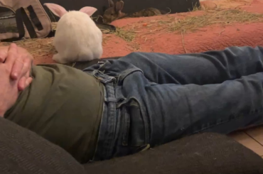 Remembering the first time these two were introduced. She was trying so hard to be still because she knew he was frightened of her. Best friends now haha.