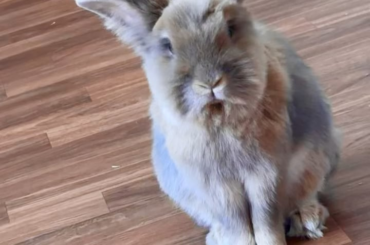 I had the *audacity* to sleep 5 mins past breakfast time …