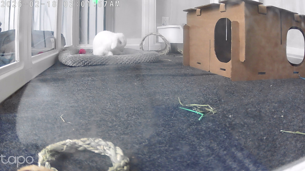 Thumped cuz I passed by but didn’t let him out