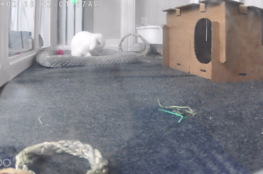 Thumped cuz I passed by but didn't let him out