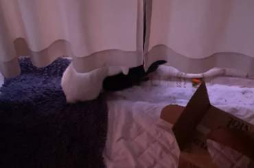 Hormones are ragin’