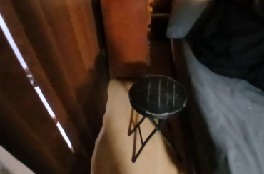 Luring the w*ld, vicious predator into the open with bait(parsley)!