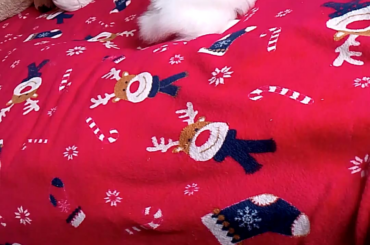 She has to make sure I made the bed properly