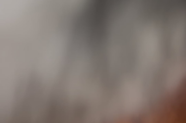 Are those sounds normal?