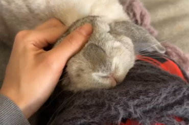 The reason I can never finish my crochet projects