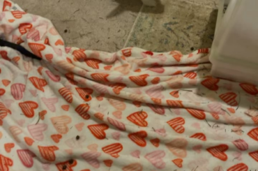 So I learned a lesson today