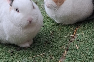 Always kiss each other after a fight! NO, not now.....