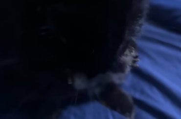 Shadow ♥️ he trusts me enough to clean himself next to me 🥰