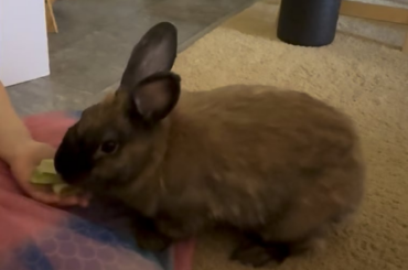 Trying to get Smokey to like us