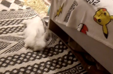 My baby having dreams is too cute 🥲💖