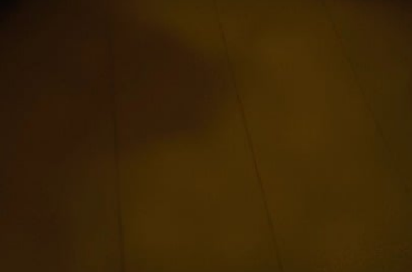 Bunny sneezes too much?