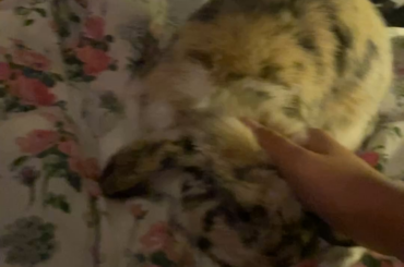 Is he enjoying this?