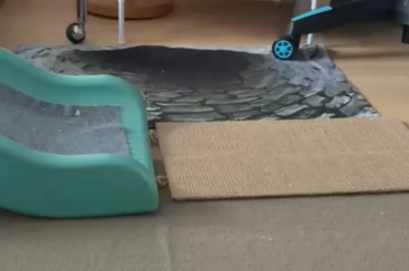 Choose your Pokemon! (Bunny Edition)