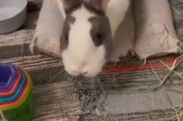 Too cute to handle🤍