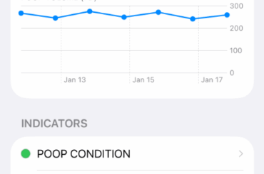 I lost my rabbit, Huitai, to a single grape in 2023. Since then, I built an ugly AI tool to protect his bonded partner, Tangyuan. It has kept my rabbits vet-free for a year. Should I release this?