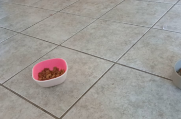 Just my sweet hearts