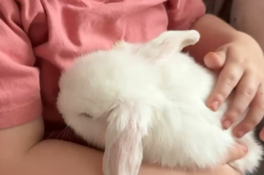 A story and a smile for your week