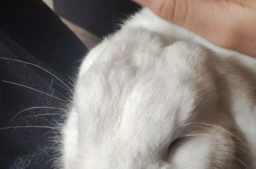 Sweet little princess won't let me stud for the exams😆