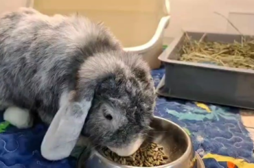 This is her 5th meal today