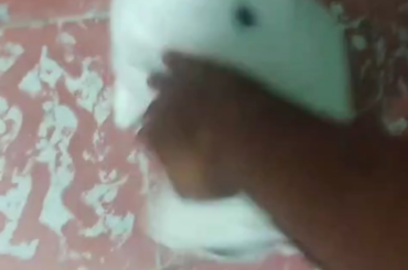 You spin me right round, baby Right round like a record