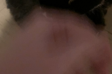 Why can’t I pet his wife?