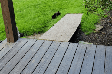 Lawnmower starting up in the distance made all the void floofs scatter. -.-