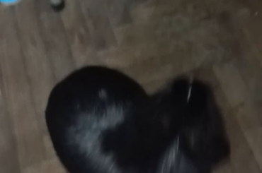 Playing with an avocado