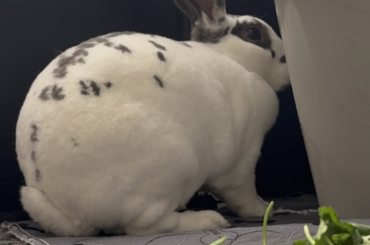 Anyone know what she is doing?