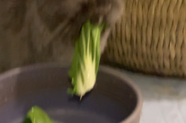 She just yanked it out of his mouth…