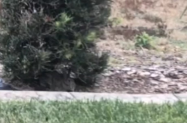 On Your Mark, Get Set...Go!!