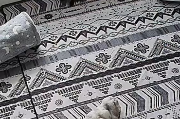 I love how much they love each other!