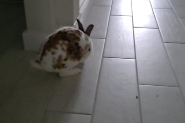 I don't know if I should be worried in the way he walks