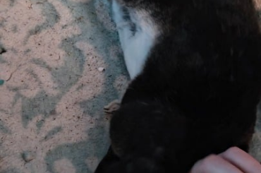 Hard to tell which of us is in heaven