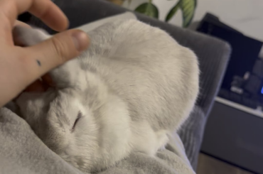 Attention seeking lil dumbass❤️