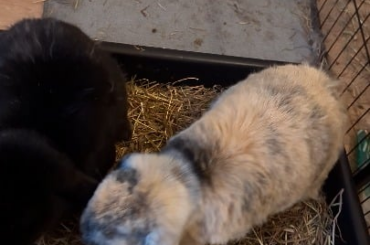 Dedicated brothers until L E A V E S