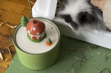 The absolute RAGER Stanley had this morning