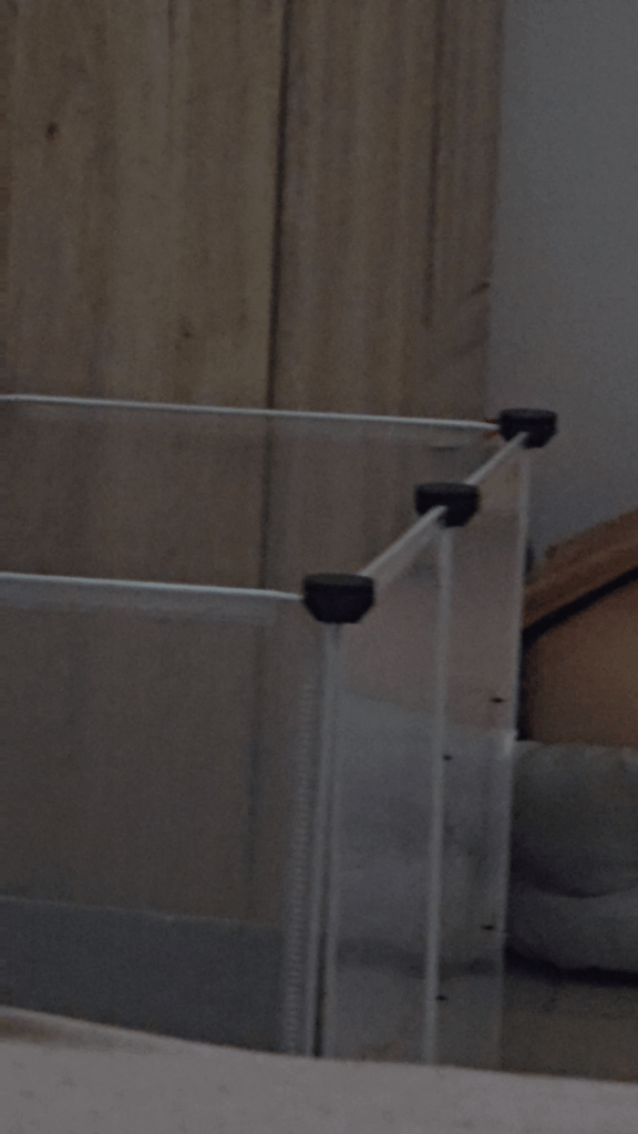 I want to shame him all over the internet. He doesn’t work and lives at my expense…..